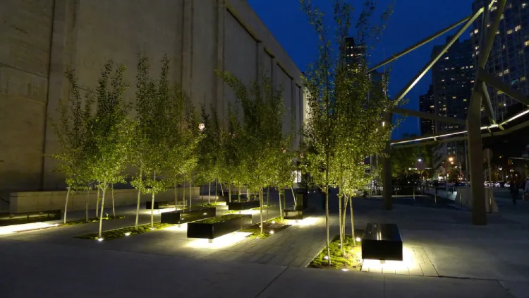  پارکی با نورپردازی شهر