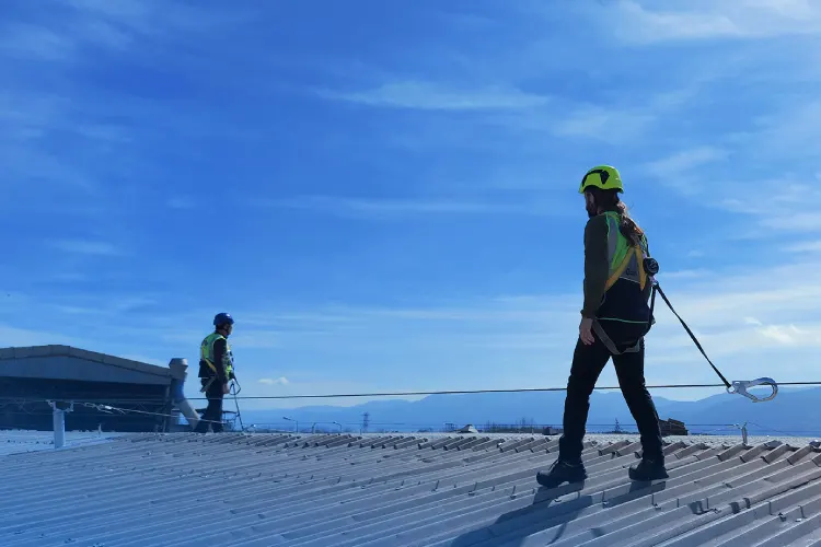 نصب لایف لاین