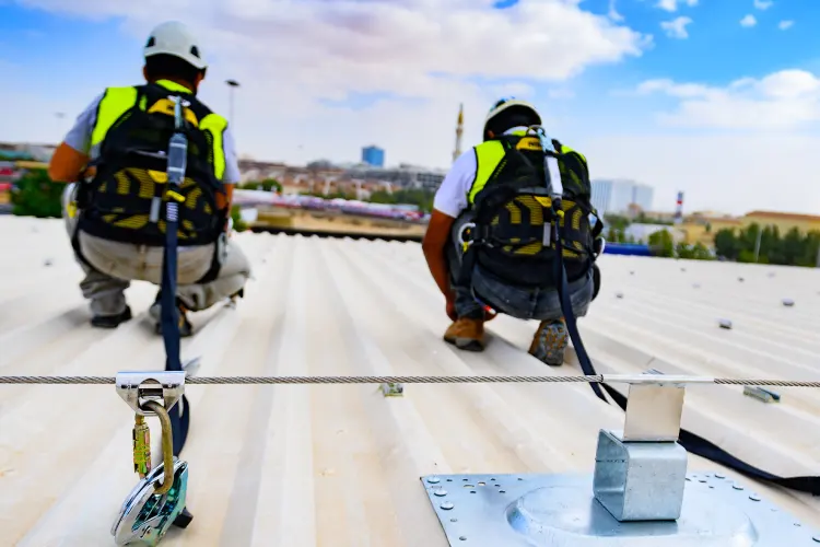 نصب لاین لایف